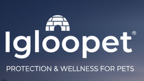 Igloopet